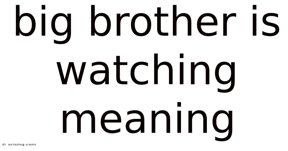 Big Brother Is Watching Meaning