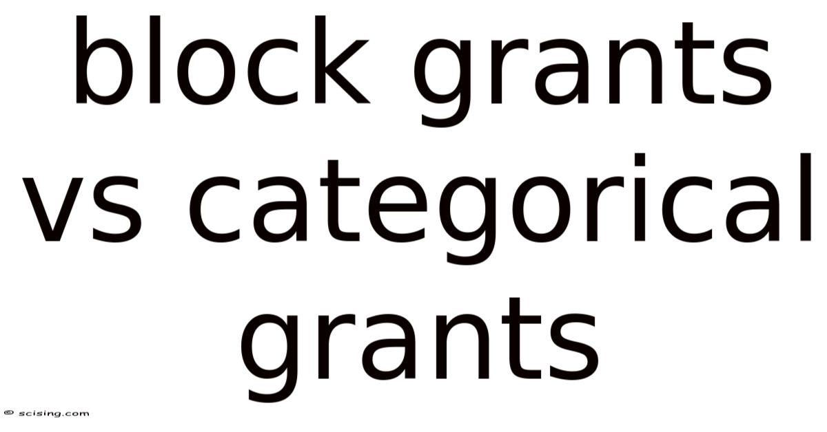 Blocky Rants Block Grants Vs Categorical Grants
