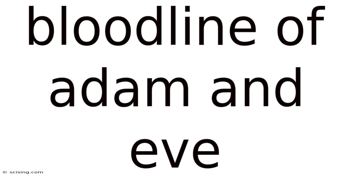 Bloodline Of Adam And Eve