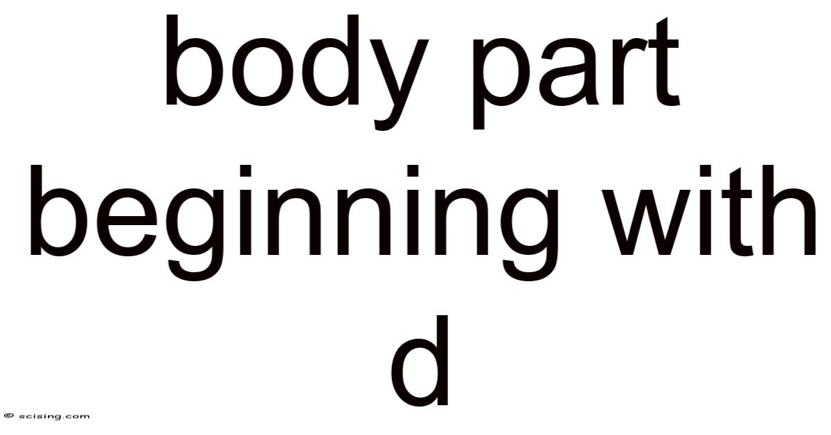 Body Part Beginning With G