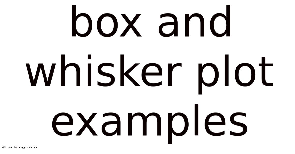 Box And Whisker Plot Examples