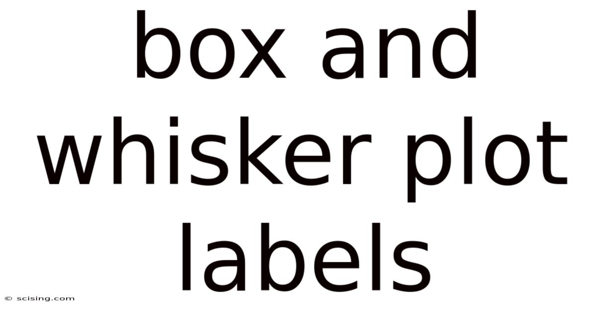 Box And Whisker Plot Labels