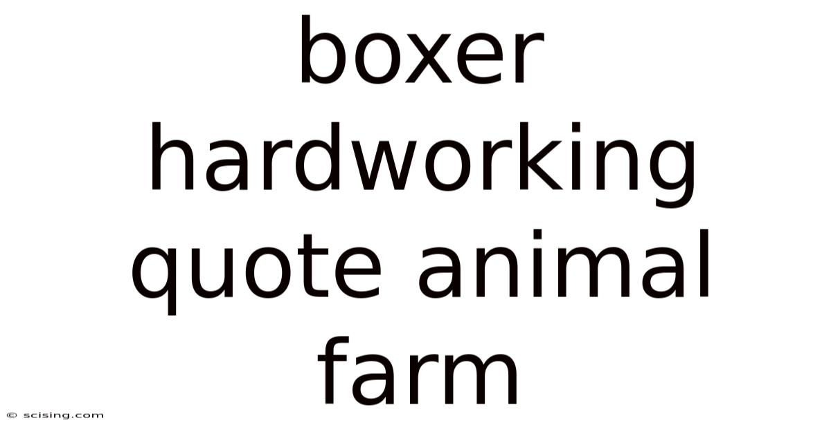 Boxer Hardworking Quote Animal Farm