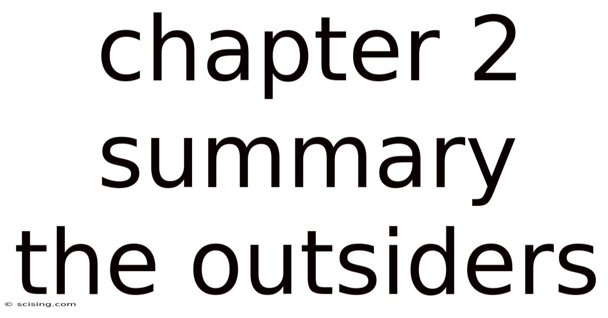 Chapter 2 Summary The Outsiders