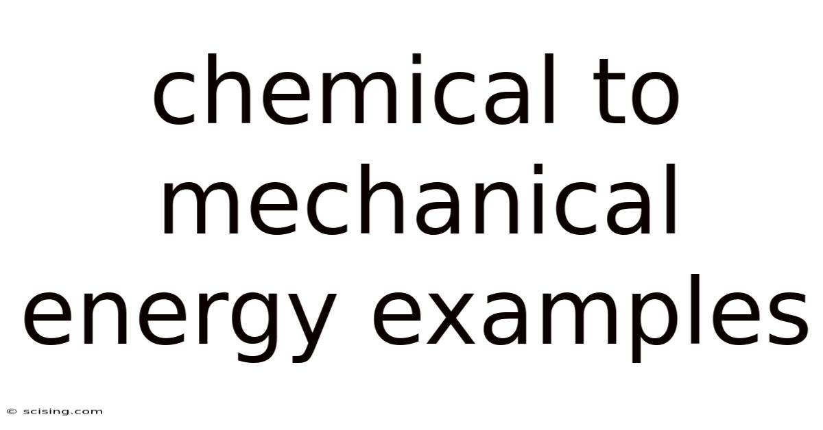 Chemical To Mechanical Energy Examples