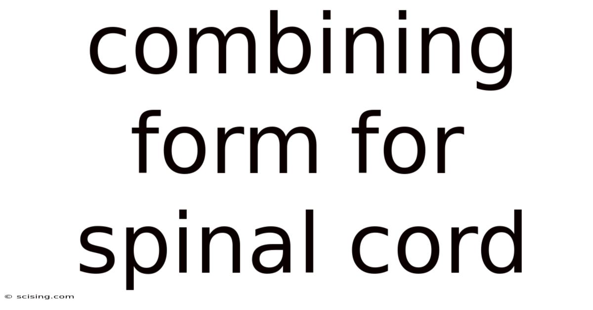 Combining Form For Spinal Cord