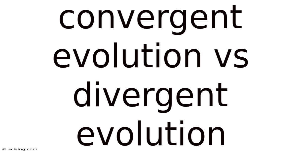 Convergent Evolution Vs Divergent Evolution