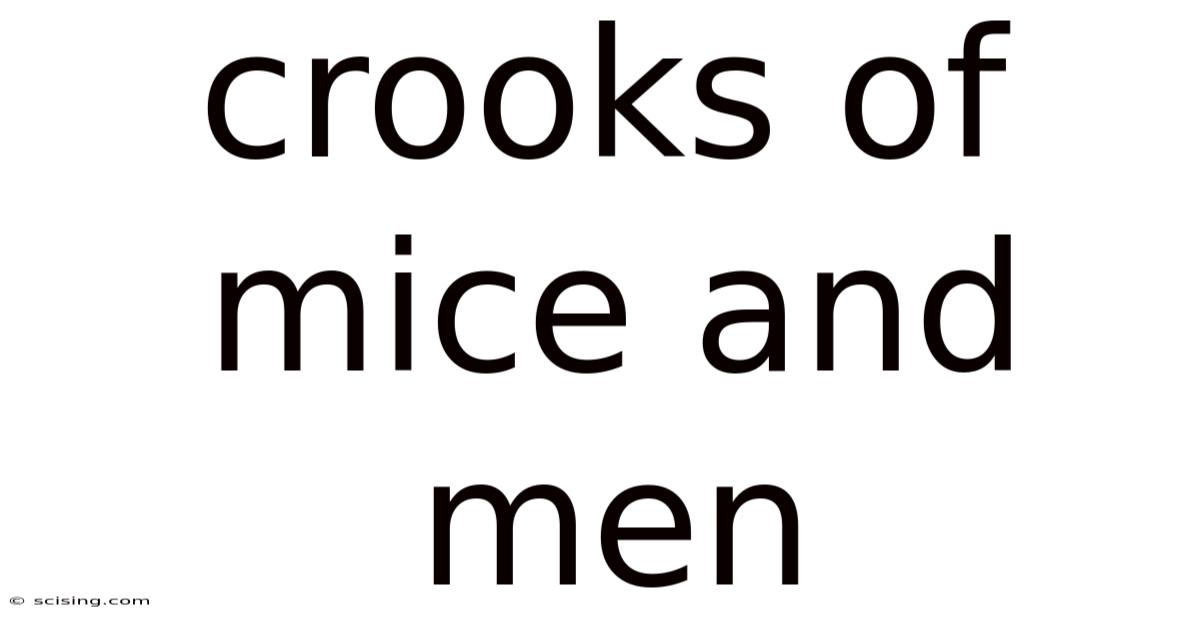 Crooks Of Mice And Men