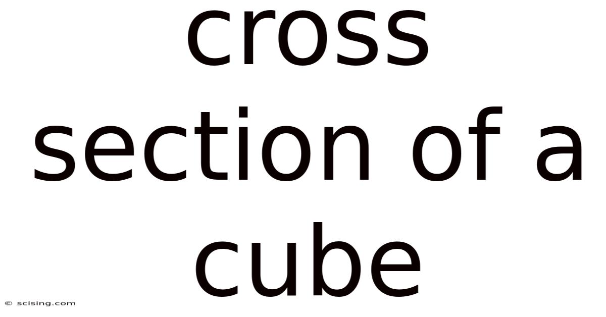 Cross Section Of A Cube
