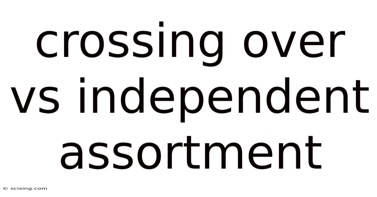 Crossing Over Vs Independent Assortment