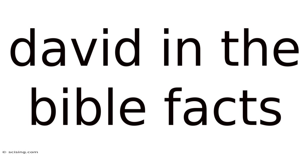 David In The Bible Facts