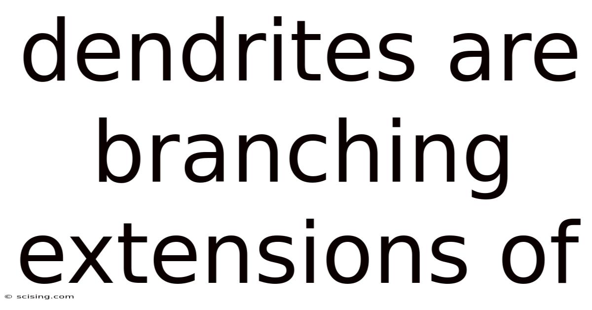 Dendrites Are Branching Extensions Of