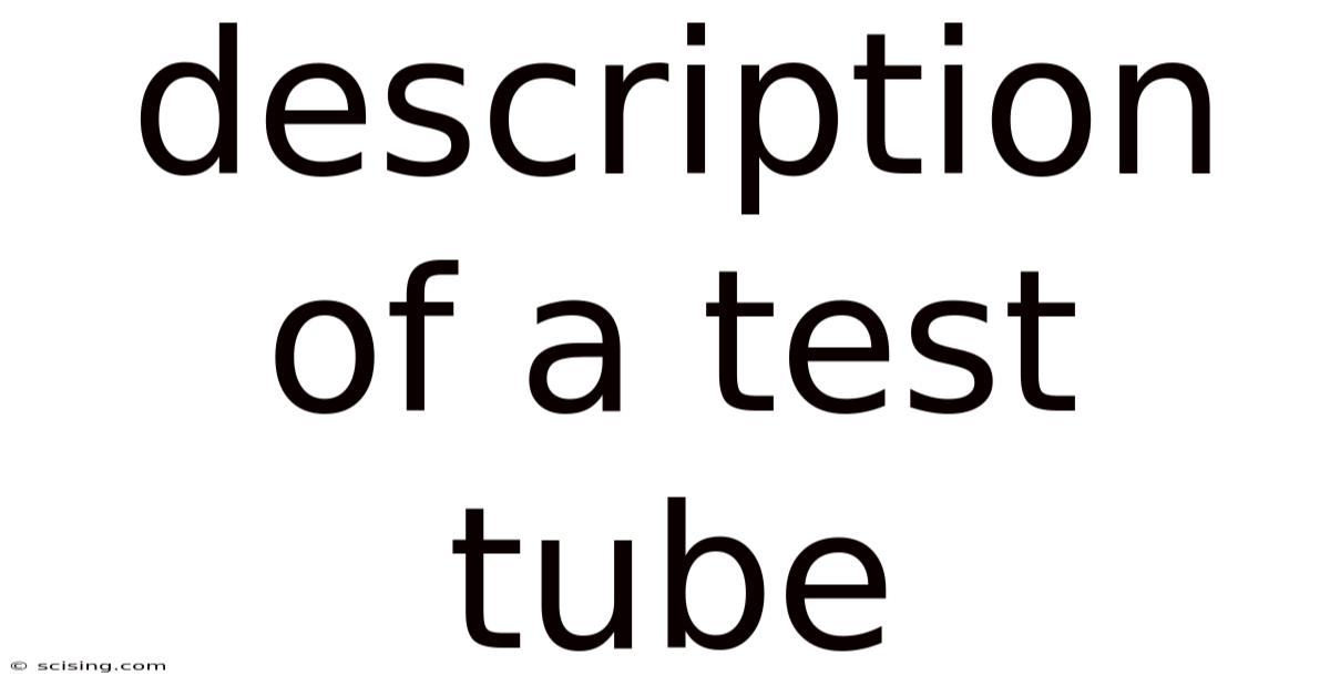 Description Of A Test Tube