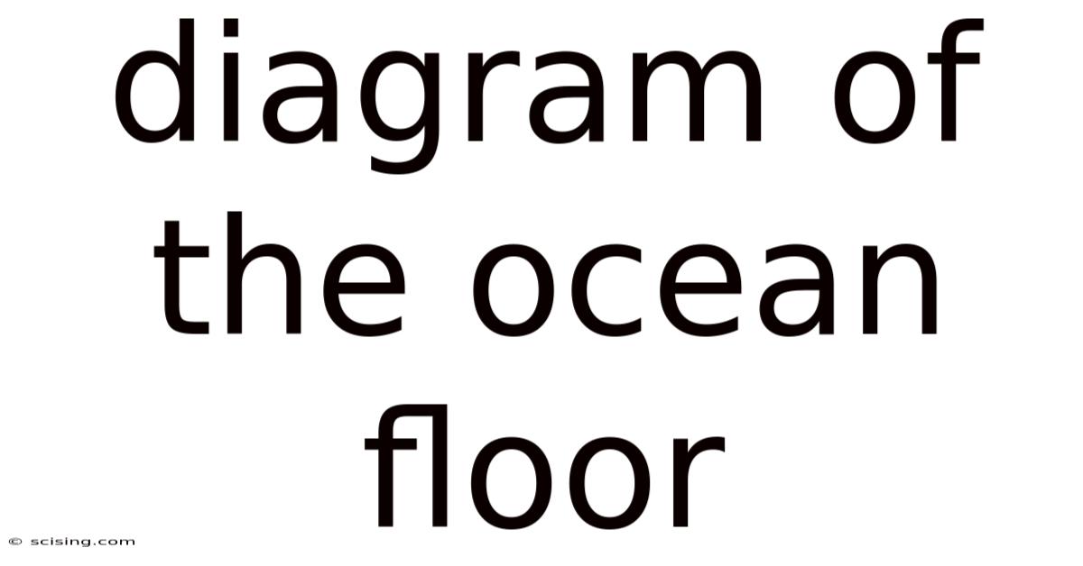 Diagram Of The Ocean Floor