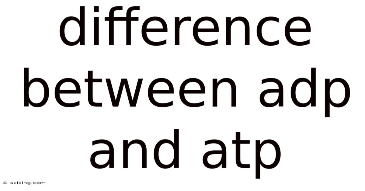Difference Between Adp And Atp
