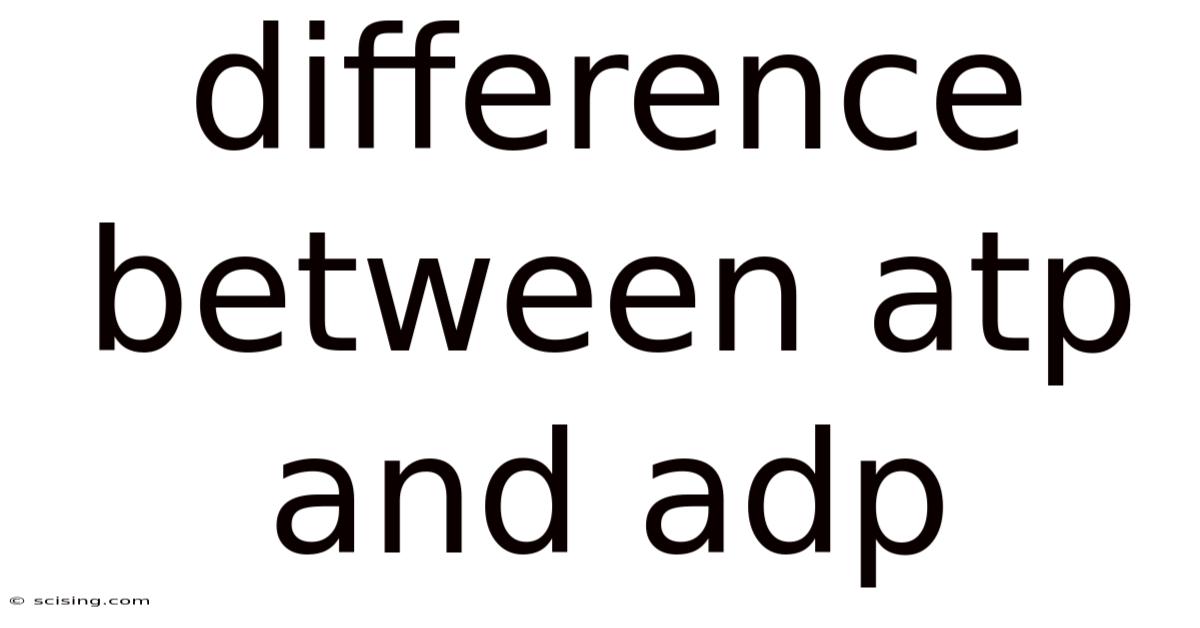 Difference Between Atp And Adp
