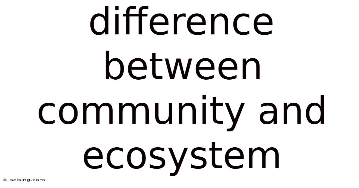 Difference Between Community And Ecosystem