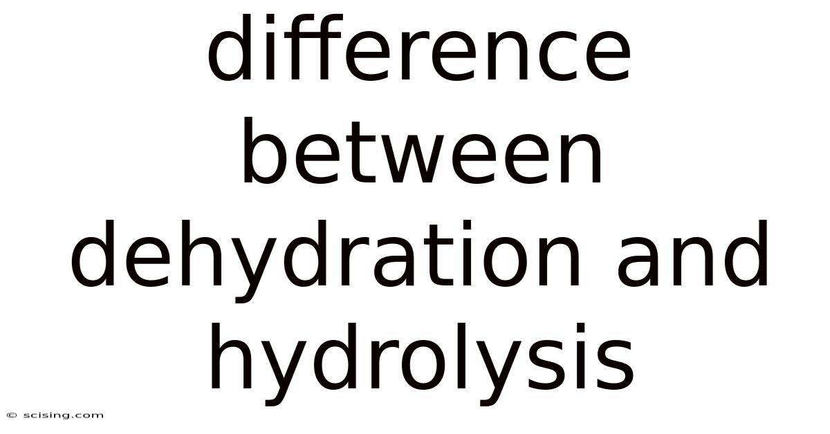 Difference Between Dehydration And Hydrolysis