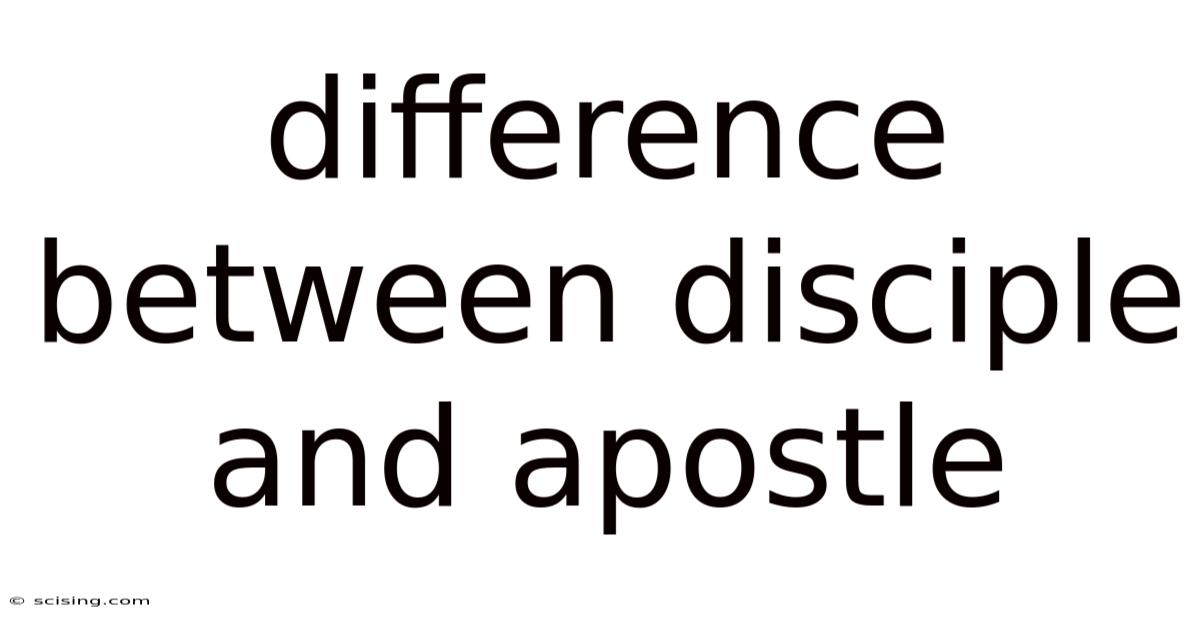 Difference Between Disciple And Apostle