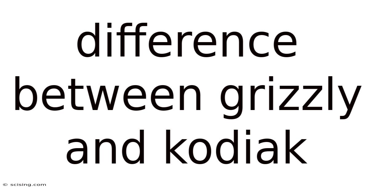Difference Between Grizzly And Kodiak