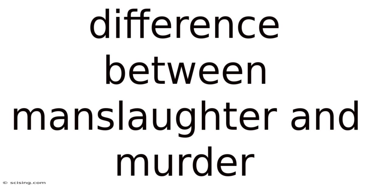 Difference Between Manslaughter And Murder