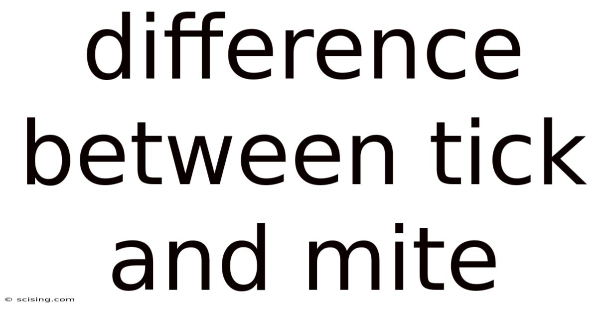 Difference Between Tick And Mite