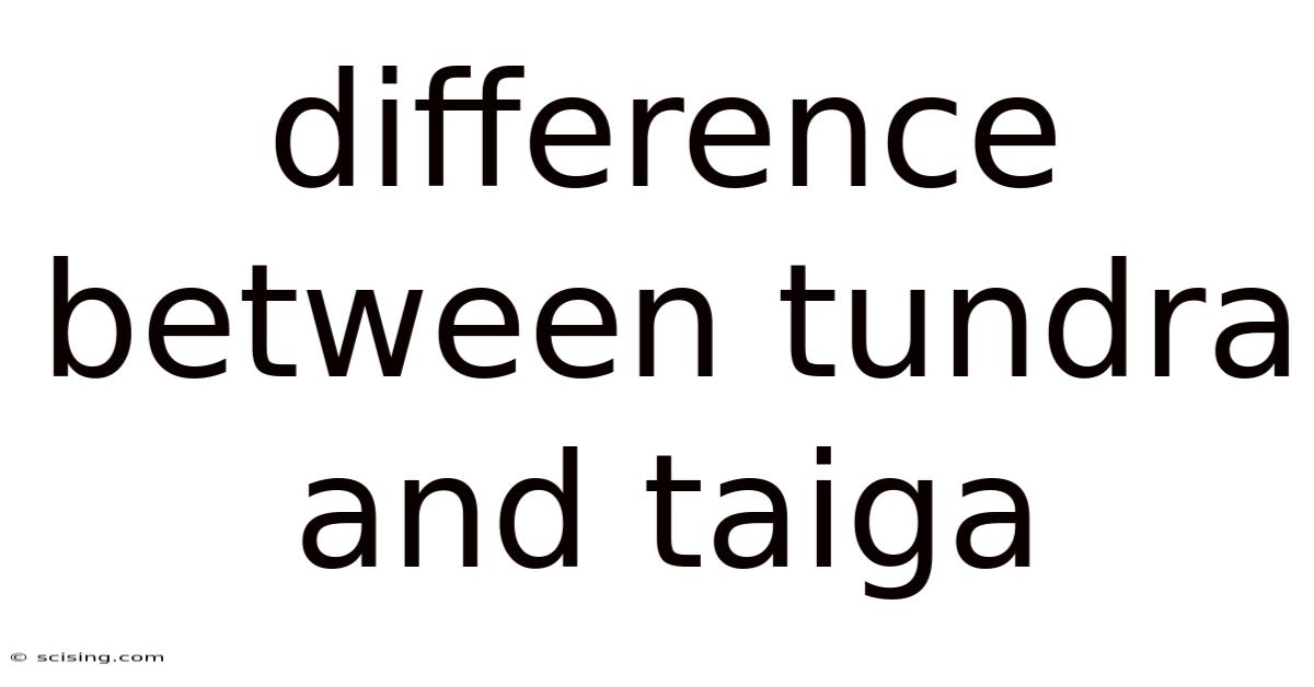 Difference Between Tundra And Taiga