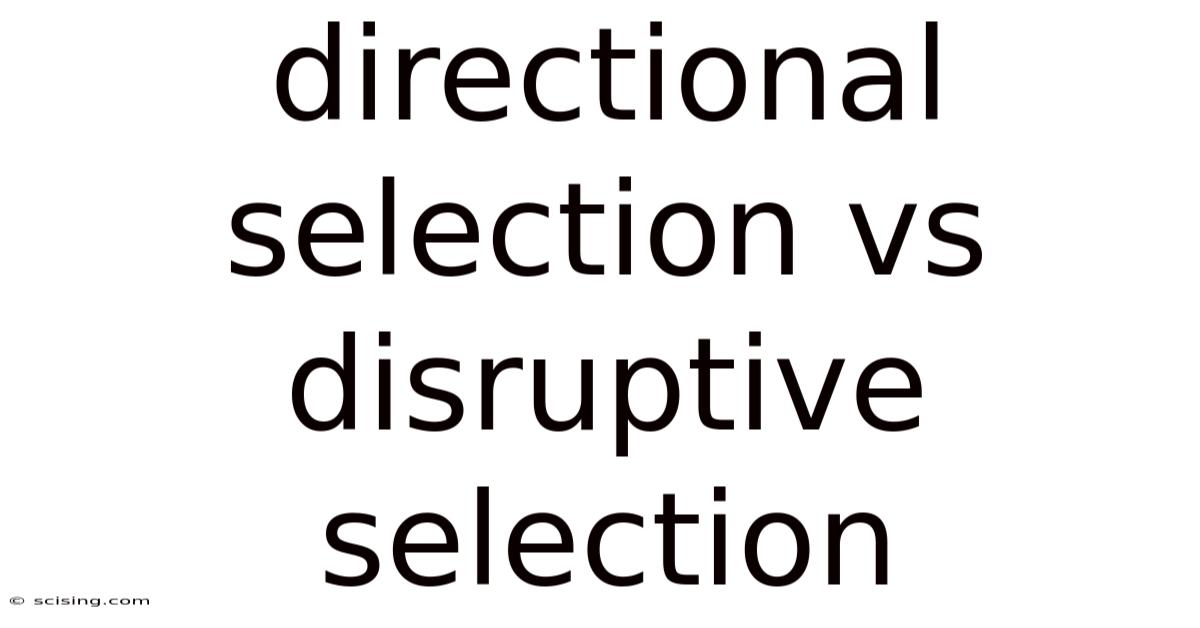 Directional Selection Vs Disruptive Selection