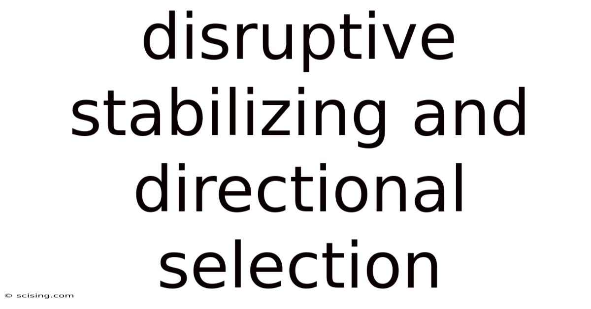 Disruptive Stabilizing And Directional Selection