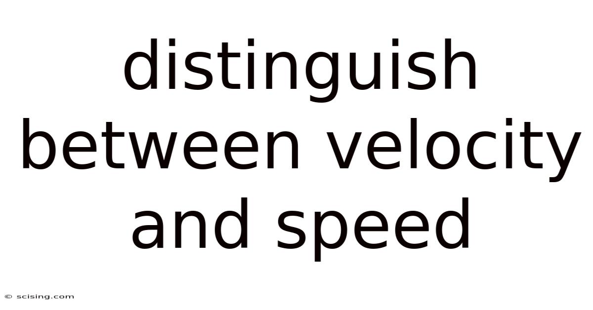 Distinguish Between Velocity And Speed