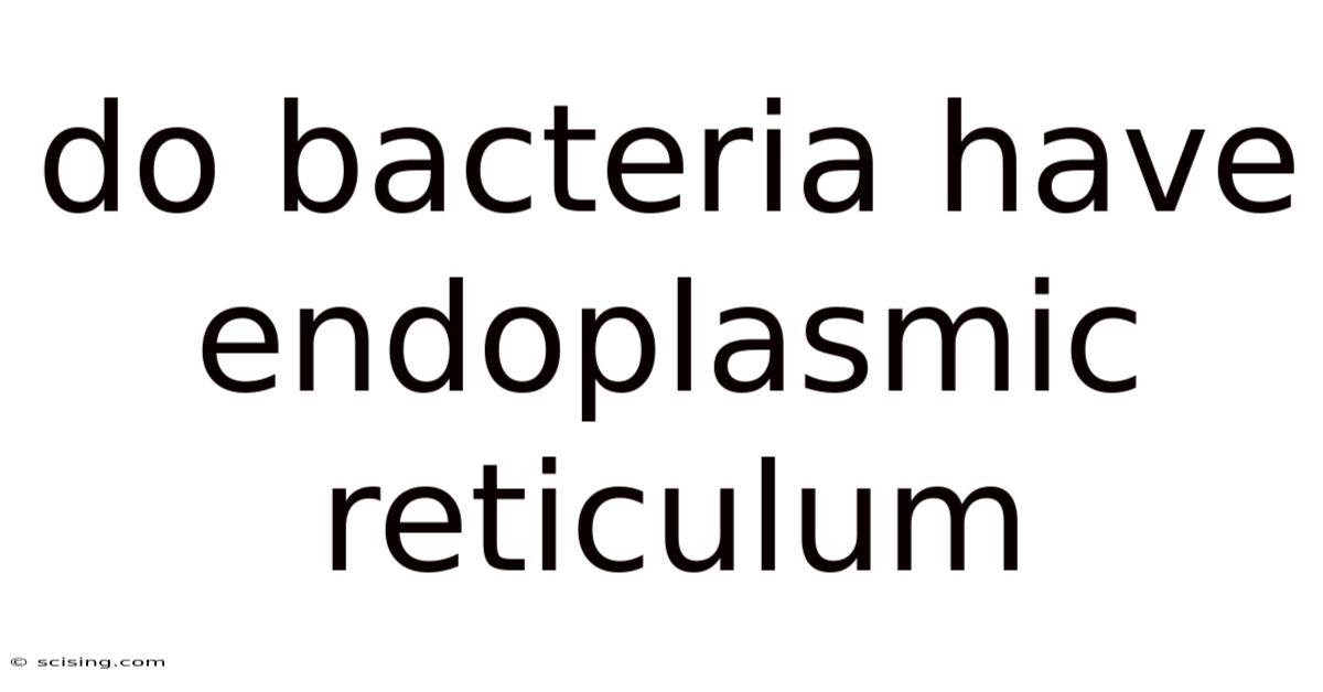 Do Bacteria Have Endoplasmic Reticulum