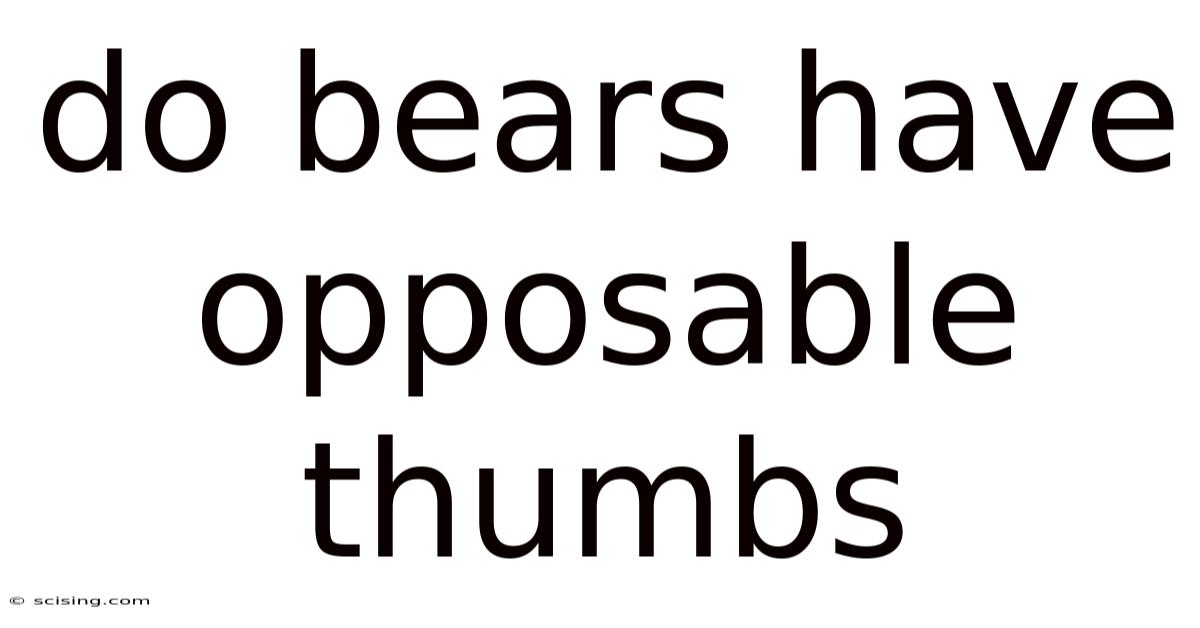 Do Bears Have Opposable Thumbs