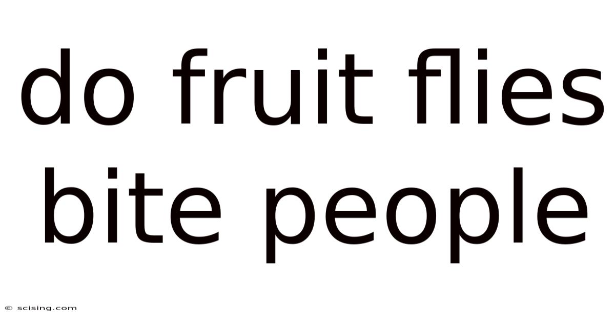 Do Fruit Flies Bite People