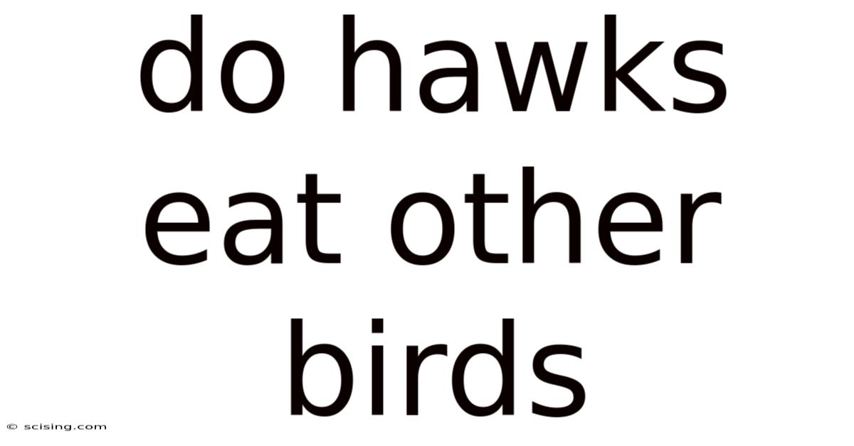 Do Hawks Eat Other Birds