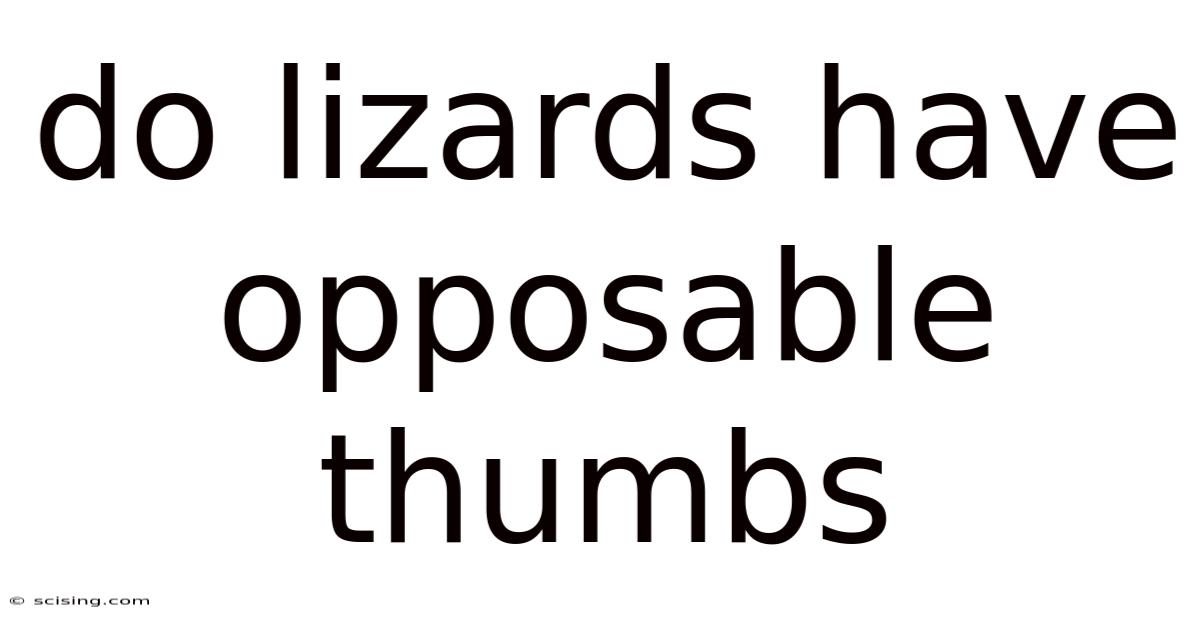 Do Lizards Have Opposable Thumbs
