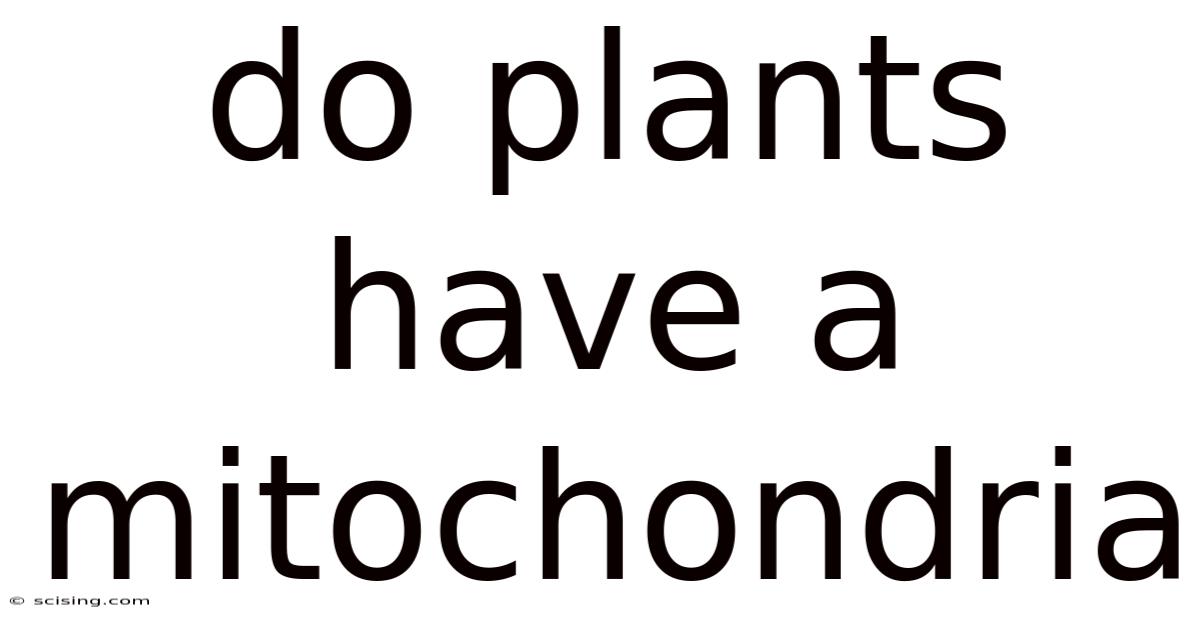 Do Plants Have A Mitochondria