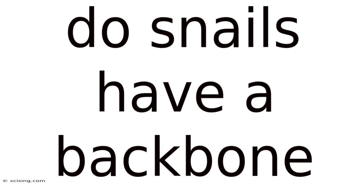 Do Snails Have A Backbone