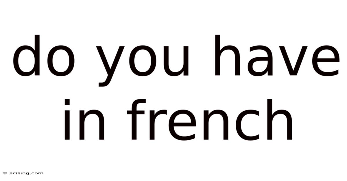 Do You Have In French
