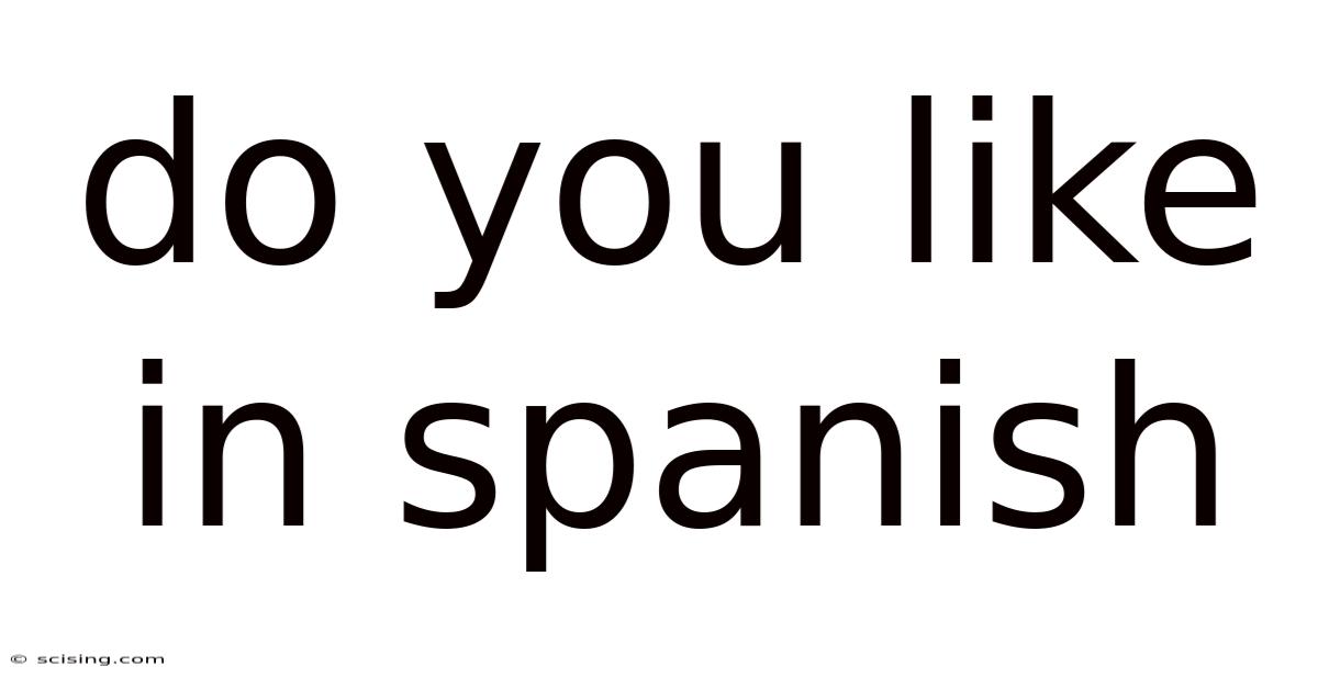 Do You Like In Spanish