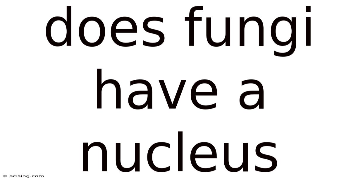 Does Fungi Have A Nucleus