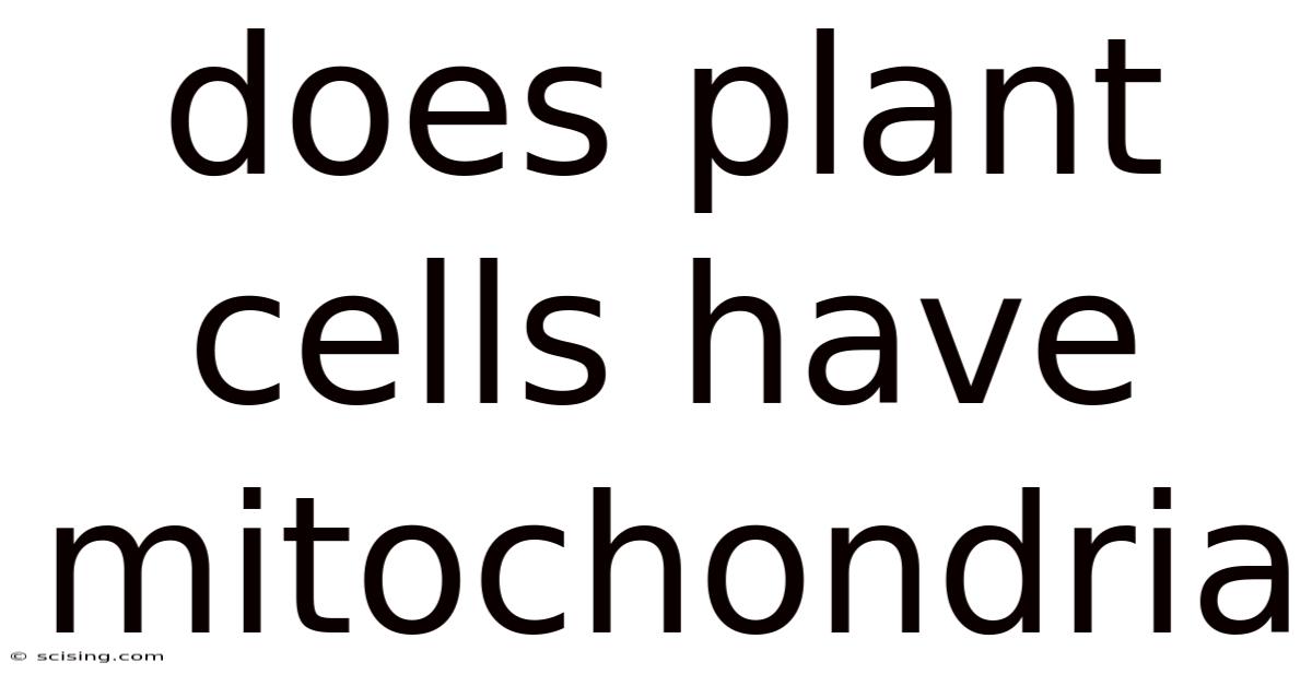 Does Plant Cells Have Mitochondria
