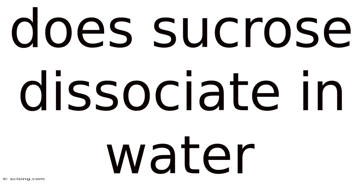 Does Sucrose Dissociate In Water