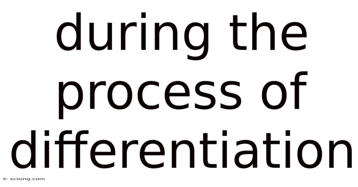 During The Process Of Differentiation