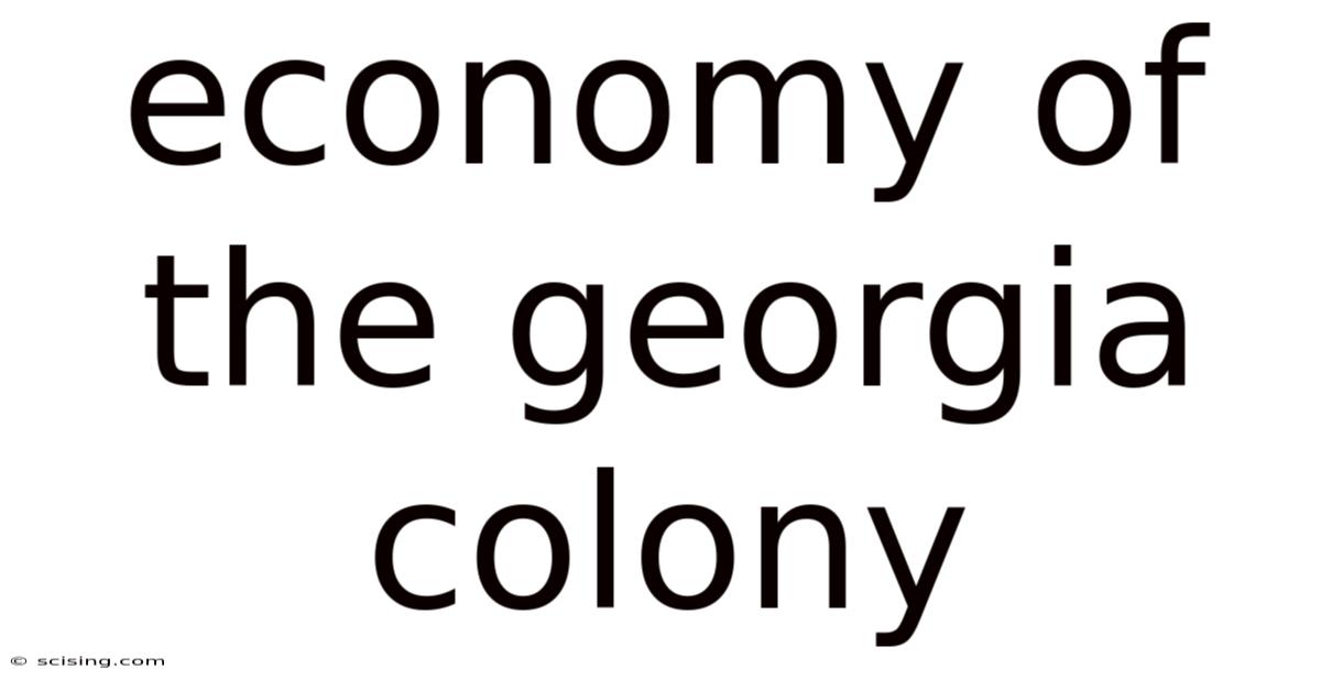 Economy Of The Georgia Colony