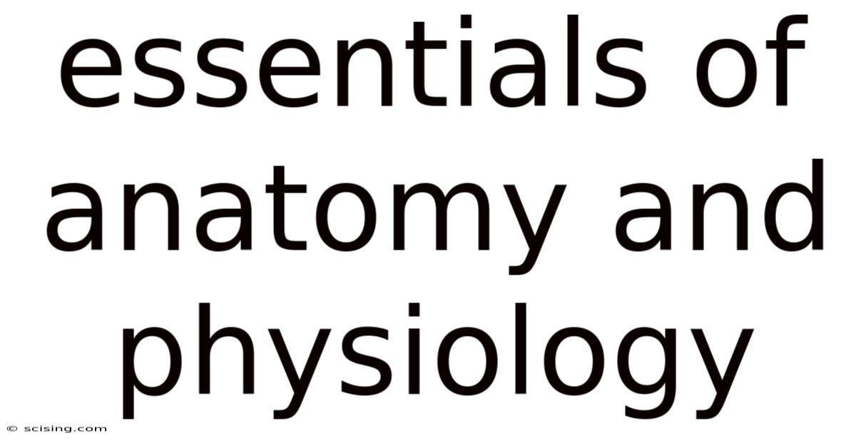 Essentials Of Anatomy And Physiology