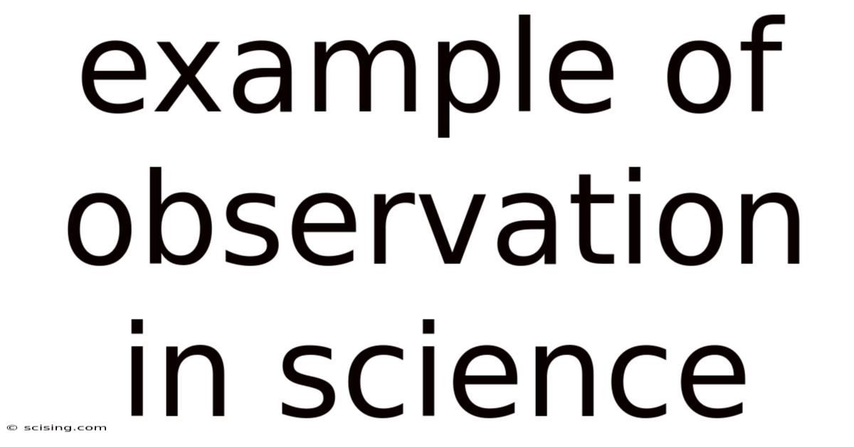 Example Of Observation In Science