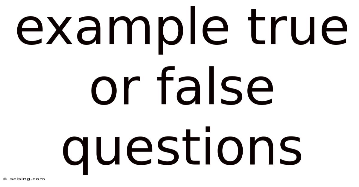 Example True Or False Questions