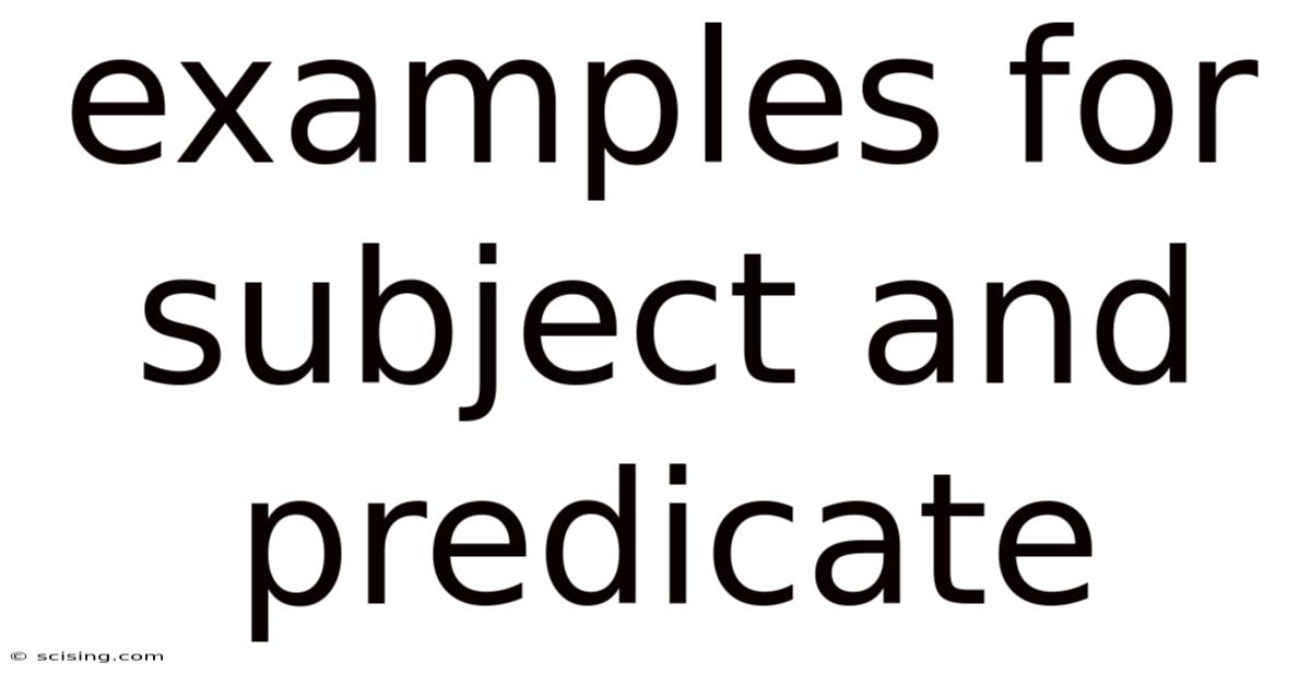 Examples For Subject And Predicate