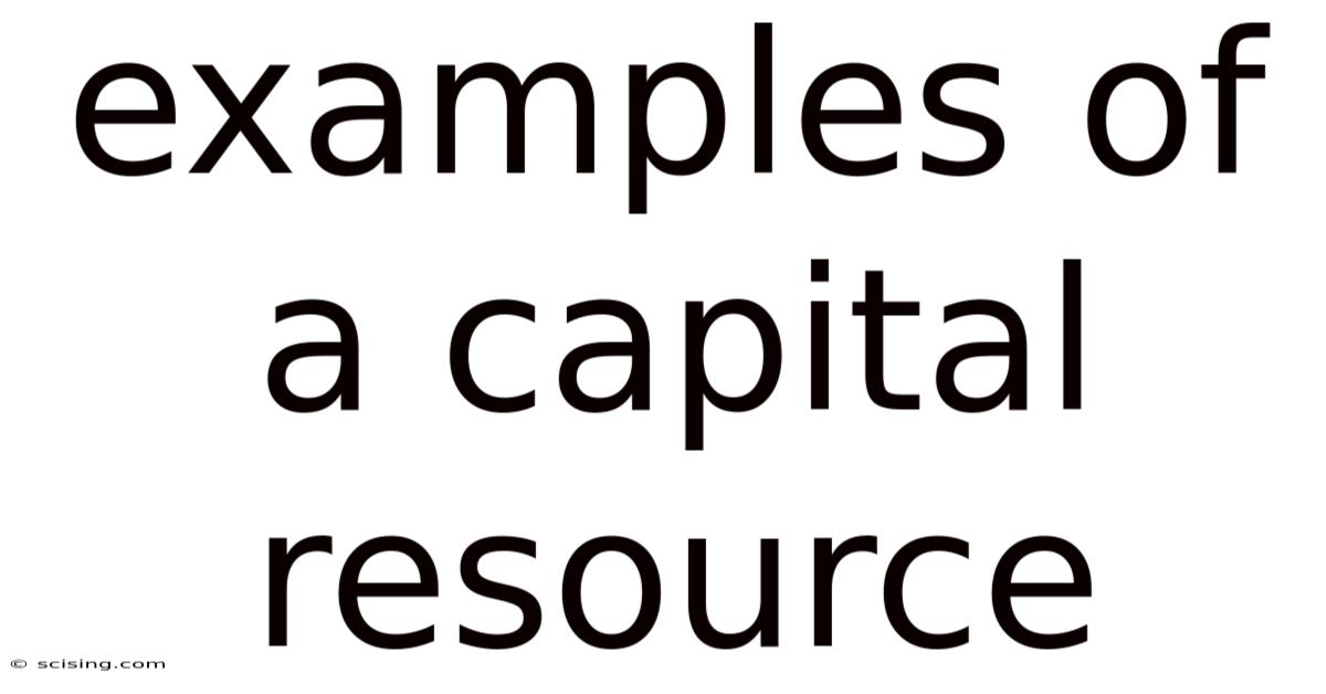 Examples Of A Capital Resource