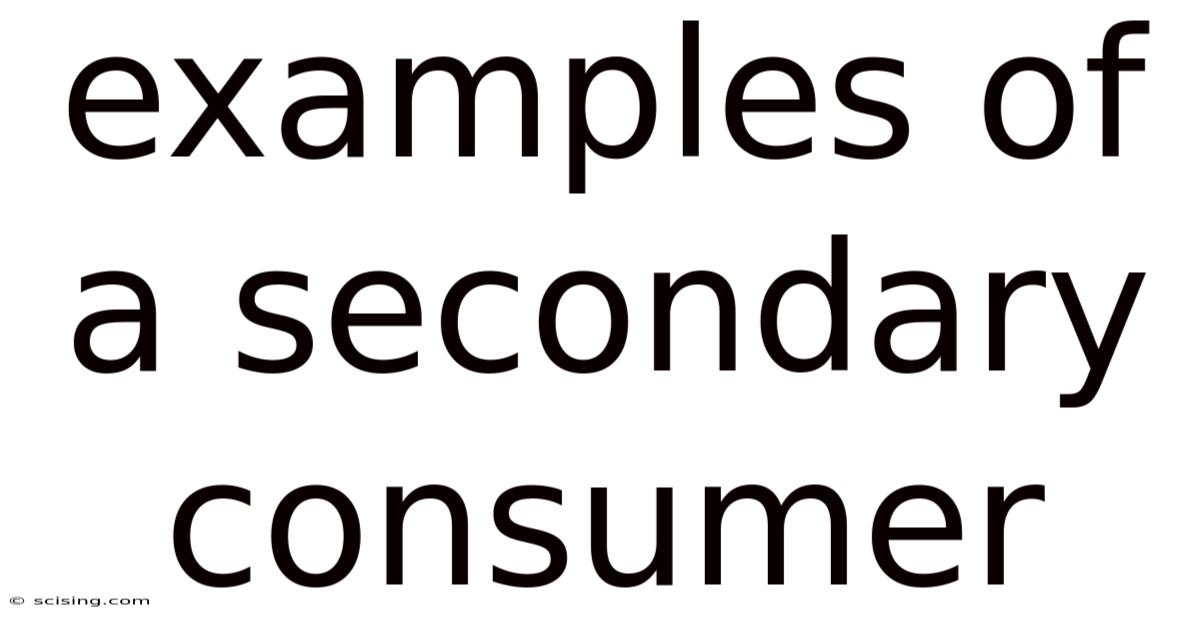 Examples Of A Secondary Consumer